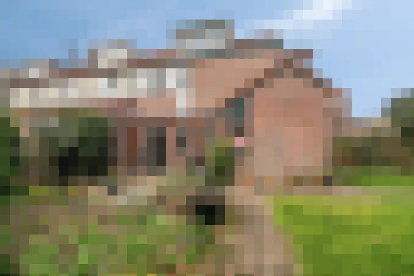 Kornet 34 Soest
