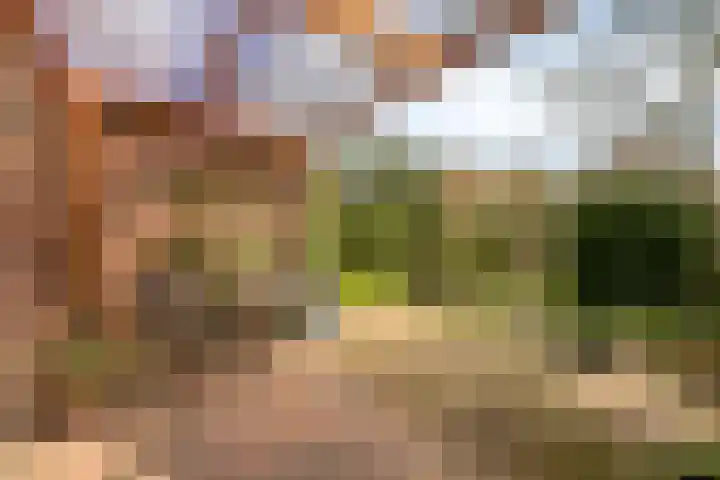 Kornet 34 Soest thumbnail 23