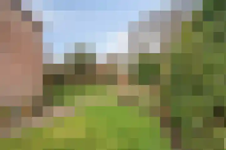 Kornet 34 Soest thumbnail 25