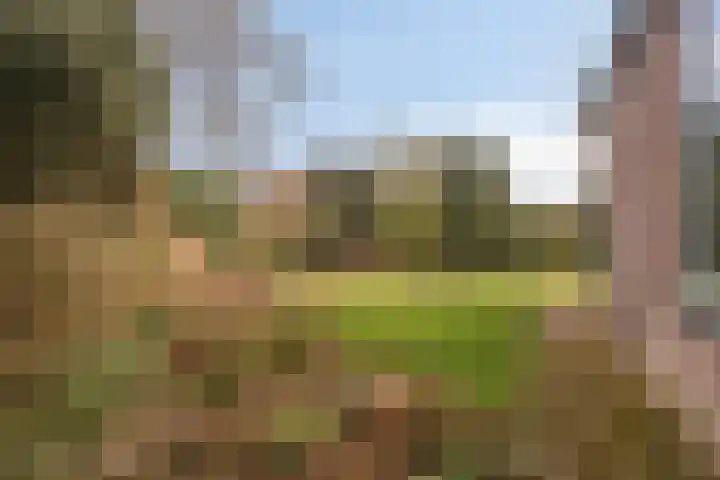 Kornet 34 Soest thumbnail 27