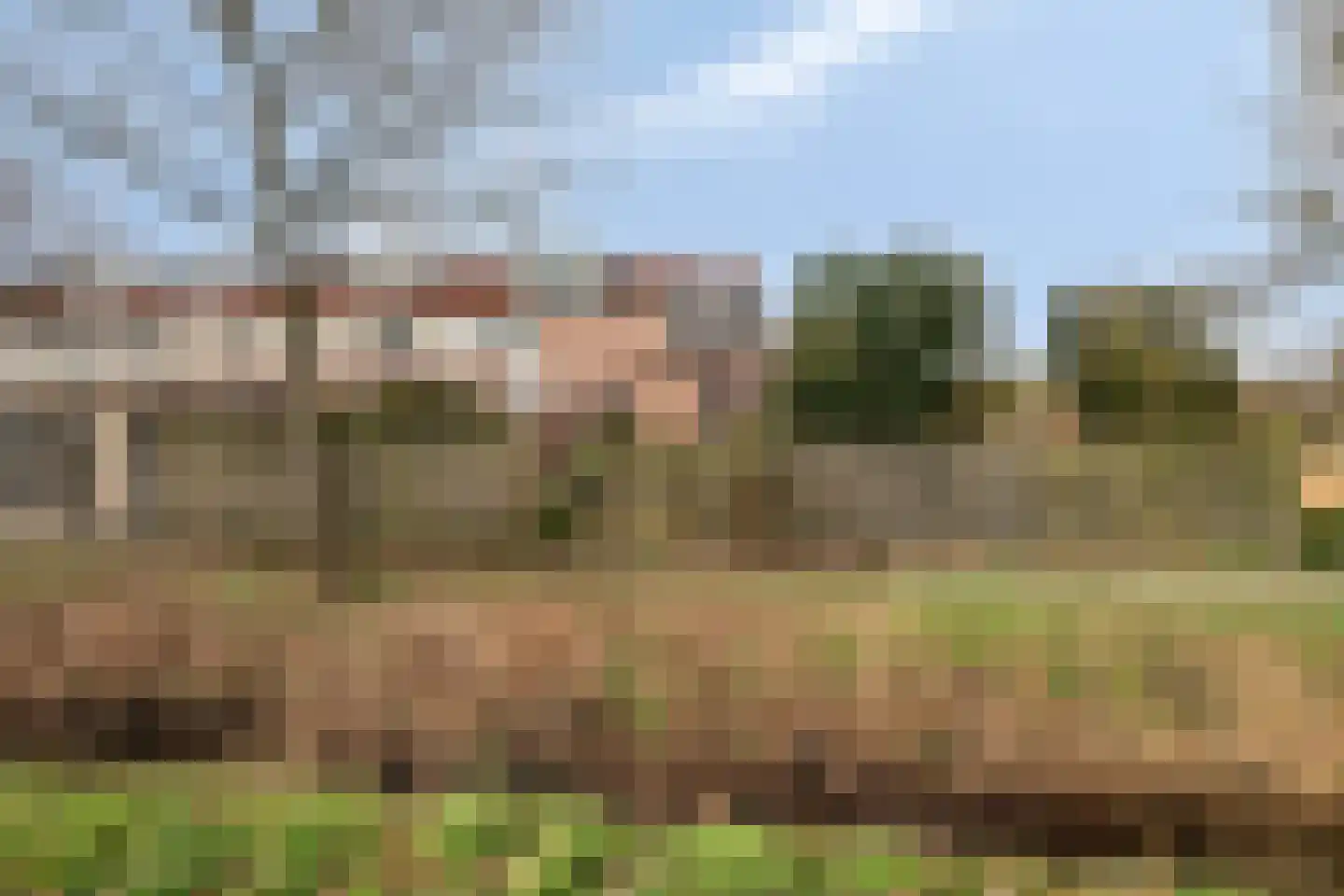 Kornet 34 Soest thumbnail 28