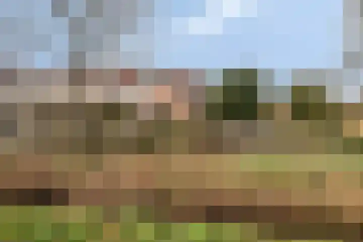 Kornet 34 Soest thumbnail 28