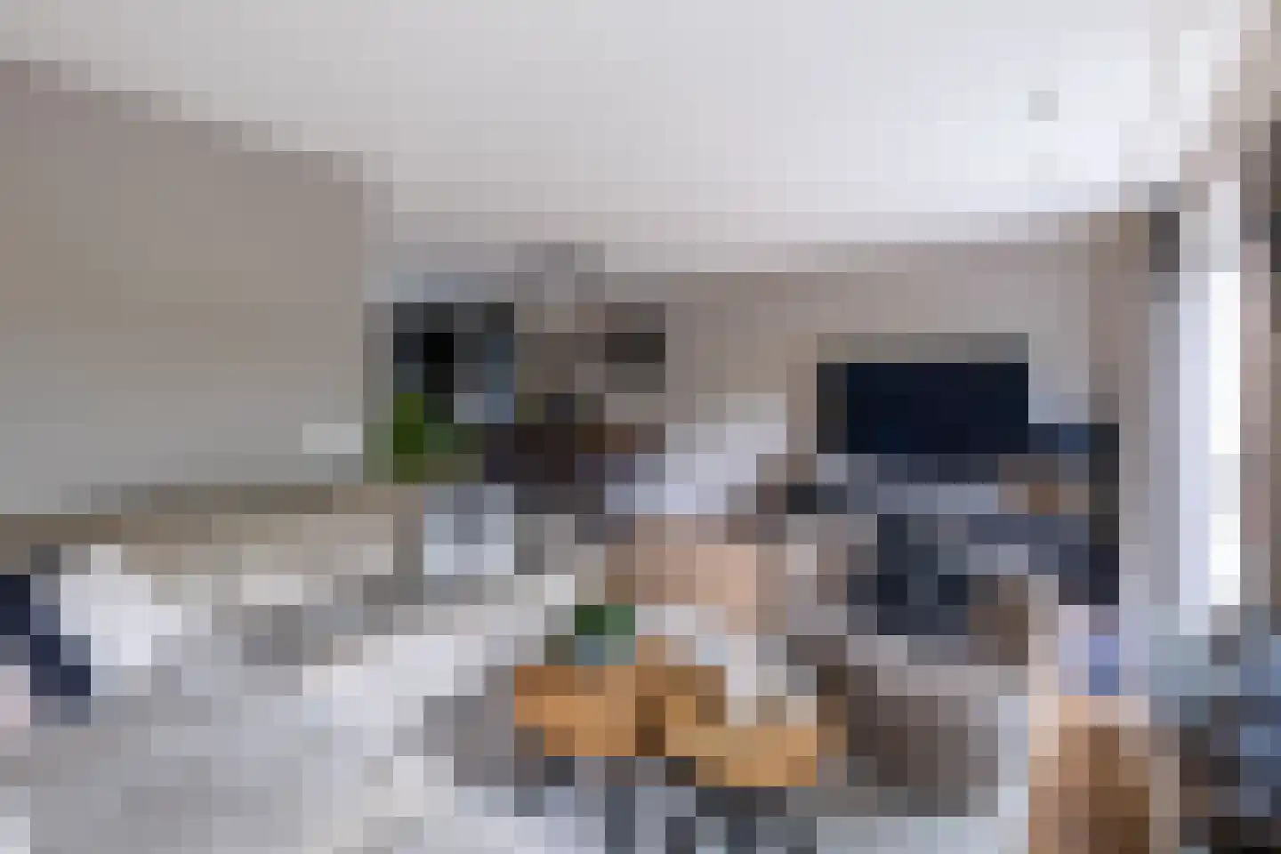 Kornet 56 Soest thumbnail 12
