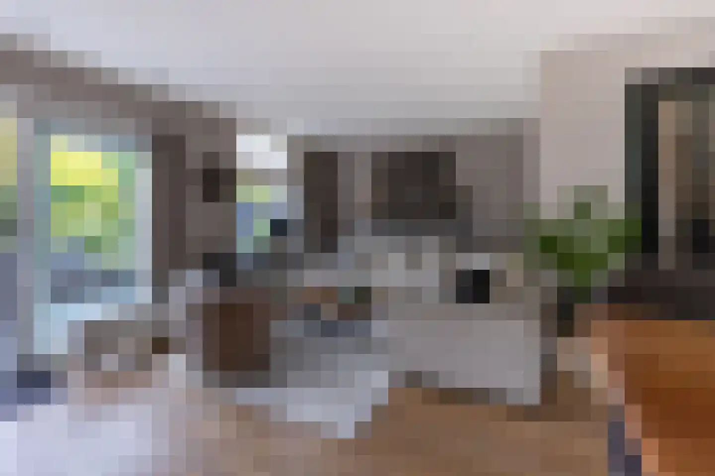 Kornet 56 Soest thumbnail 13