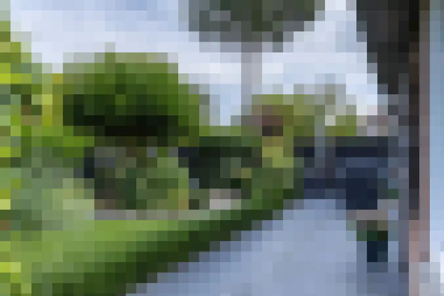 Kornet 56 Soest thumbnail 16