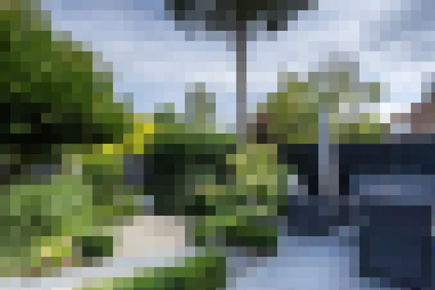 Kornet 56 Soest thumbnail 17