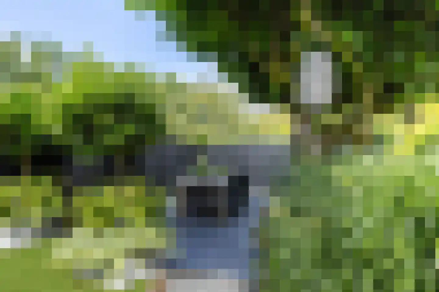Kornet 56 Soest thumbnail 19