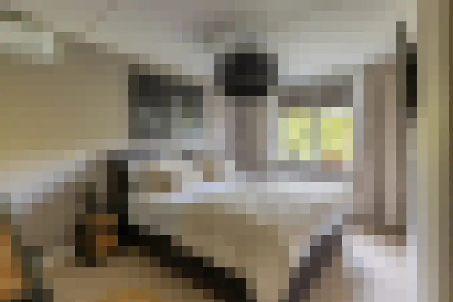 Kornet 56 Soest thumbnail 23