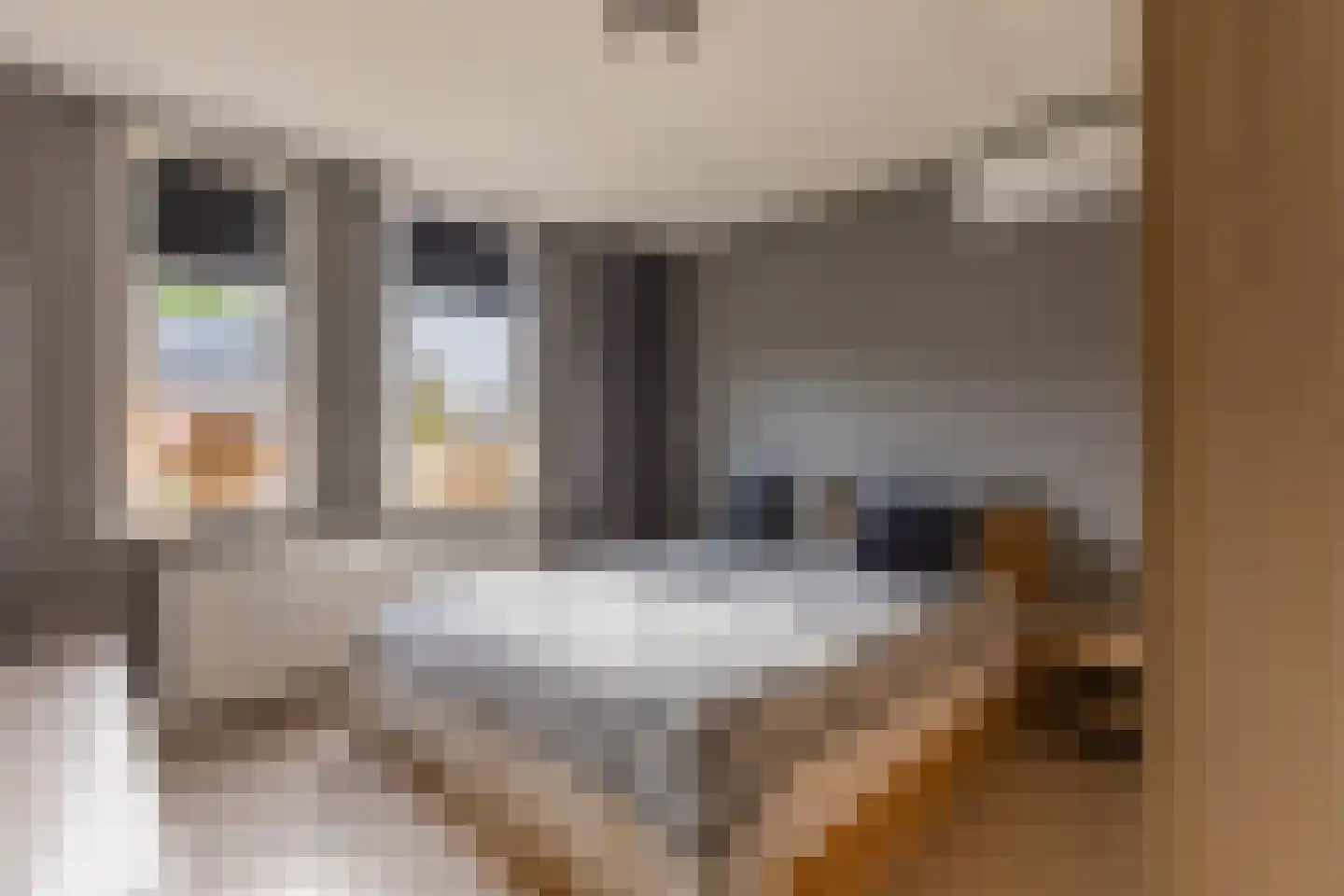 Kornet 56 Soest thumbnail 28