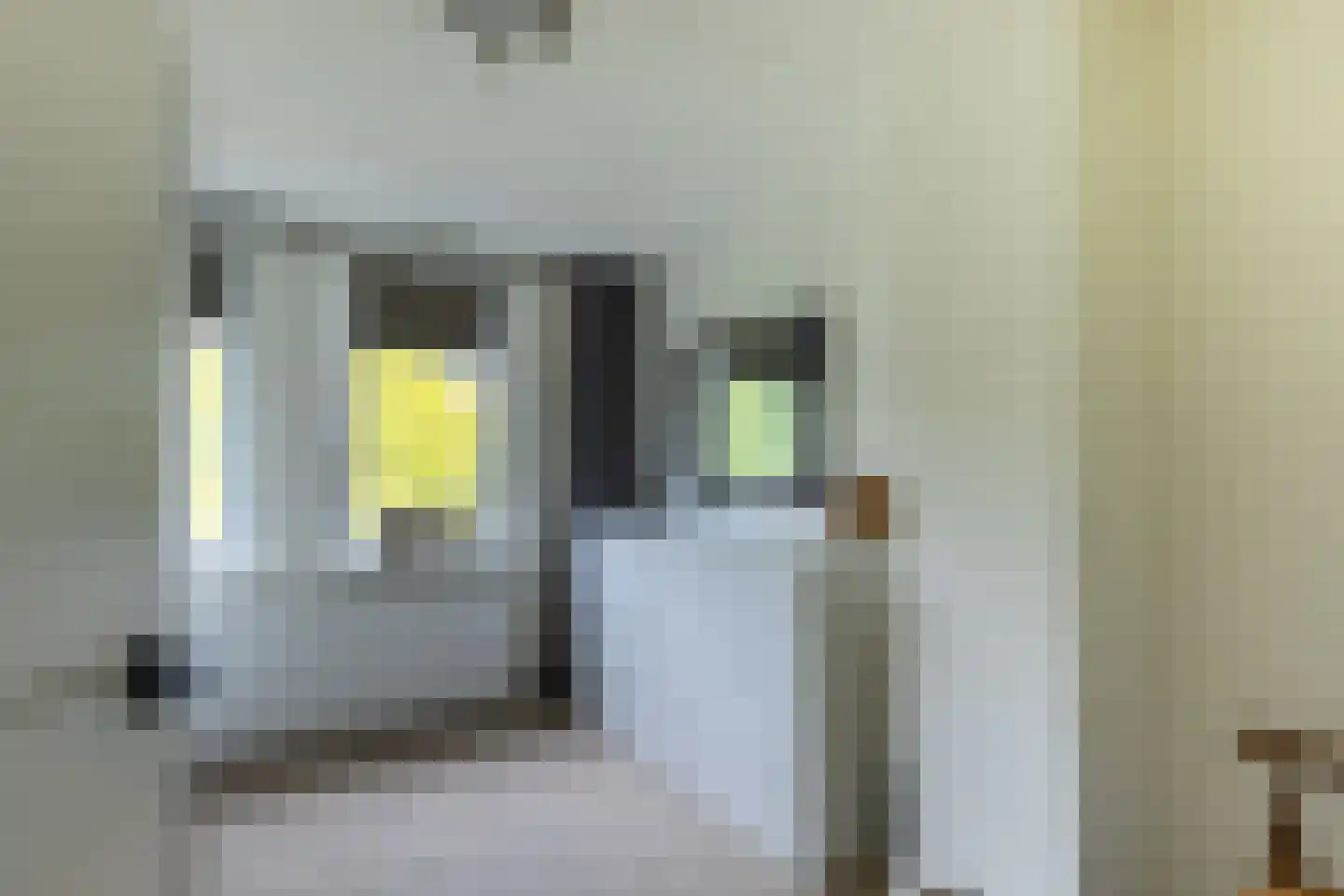 Kornet 56 Soest thumbnail 29
