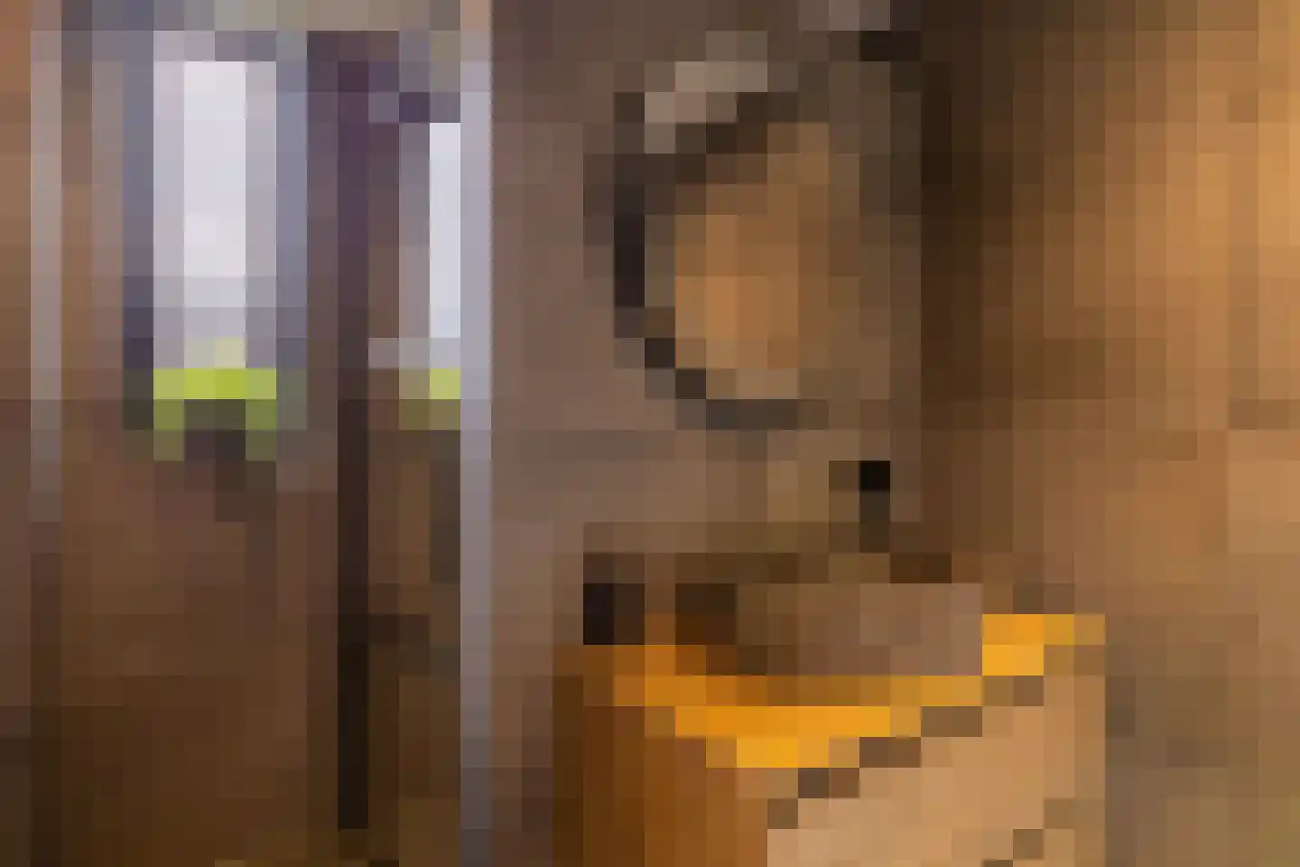 Kornet 56 Soest thumbnail 33