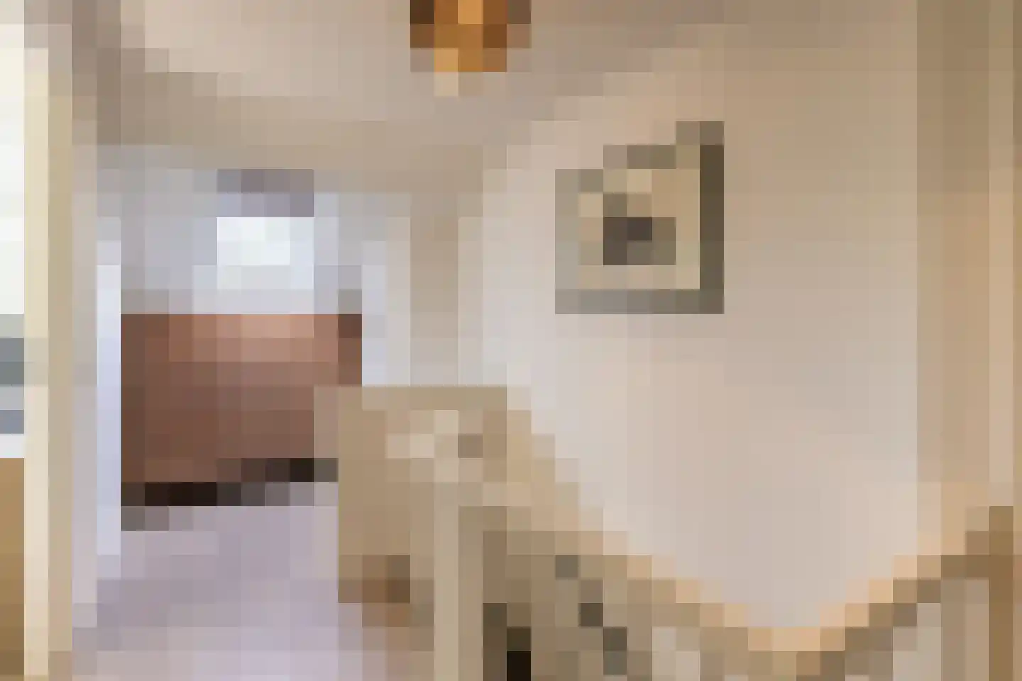 Kornet 56 Soest thumbnail 34
