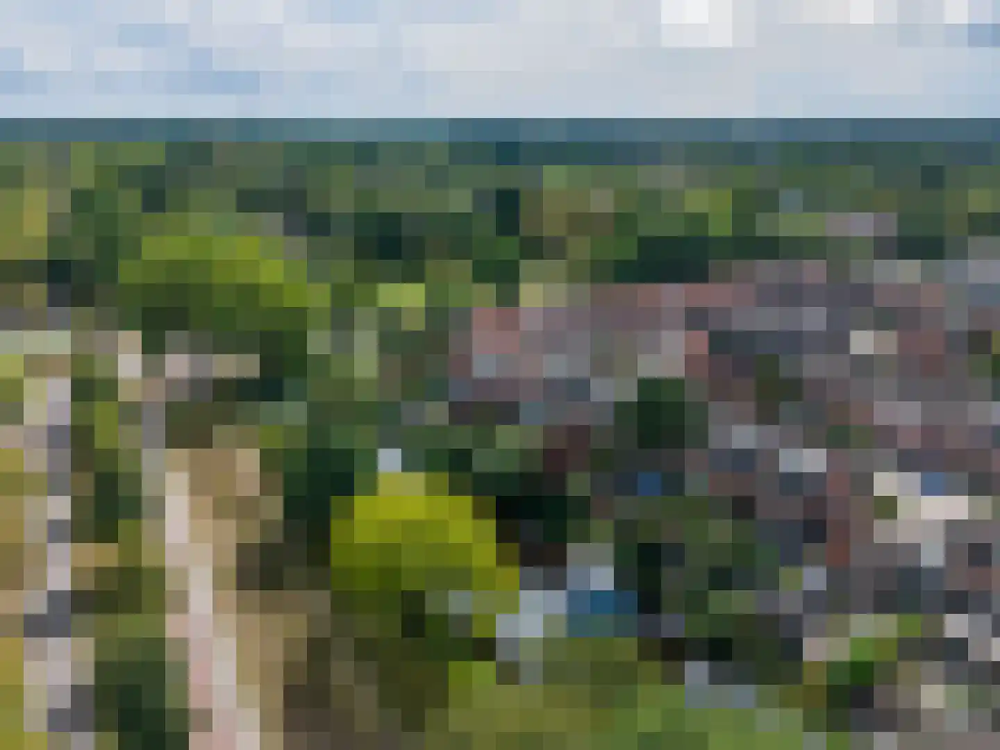 Kornet 56 Soest thumbnail 42