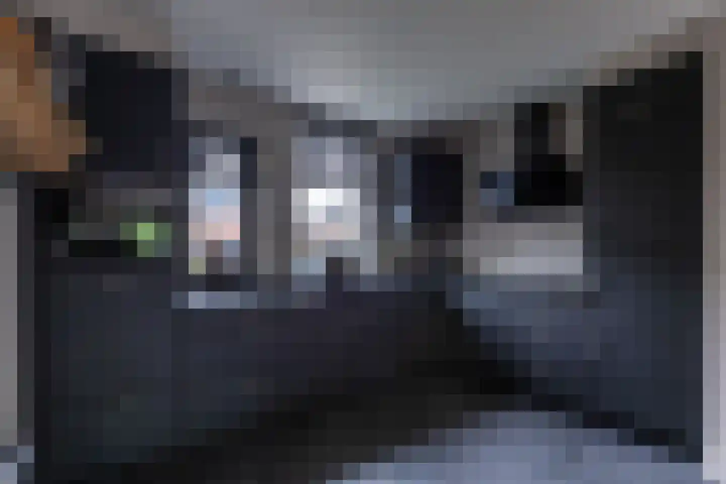 Kornet 56 Soest thumbnail 7