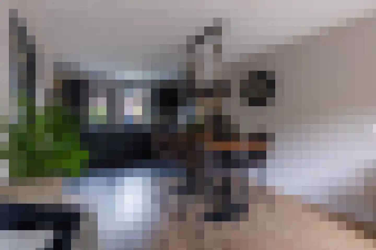Kornet 56 Soest thumbnail 9