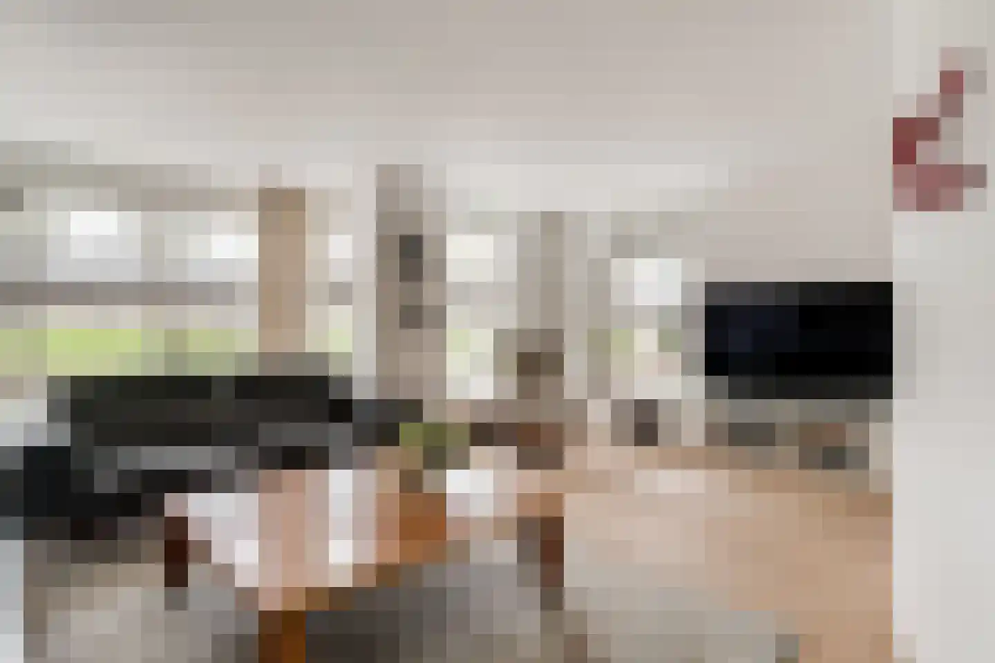 Kornet 9 Zevenaar thumbnail 13