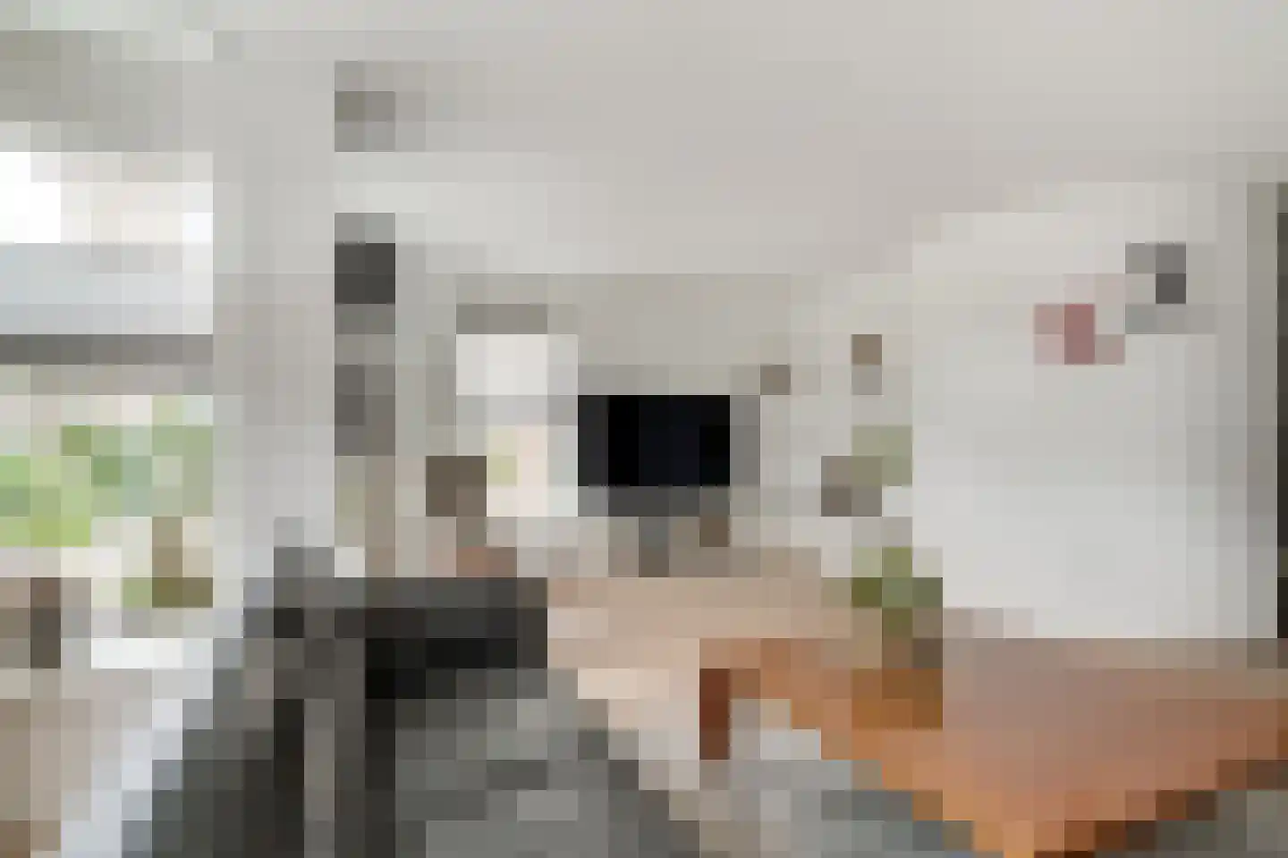 Kornet 9 Zevenaar thumbnail 15