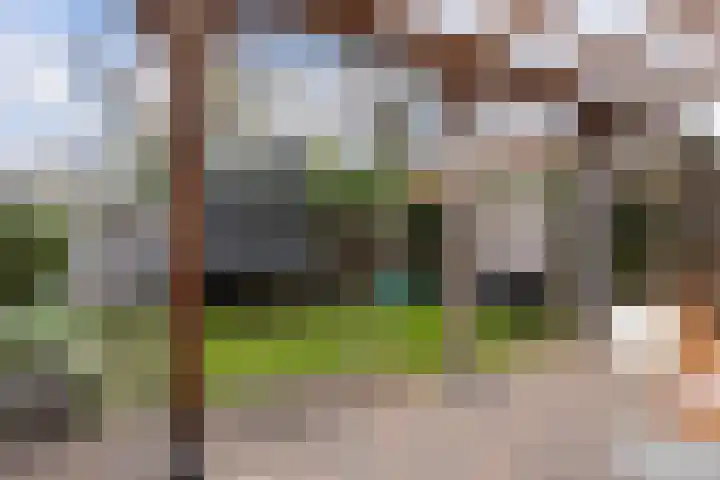 Kornet van Limburg Stirumstraat 43 Olst thumbnail 11