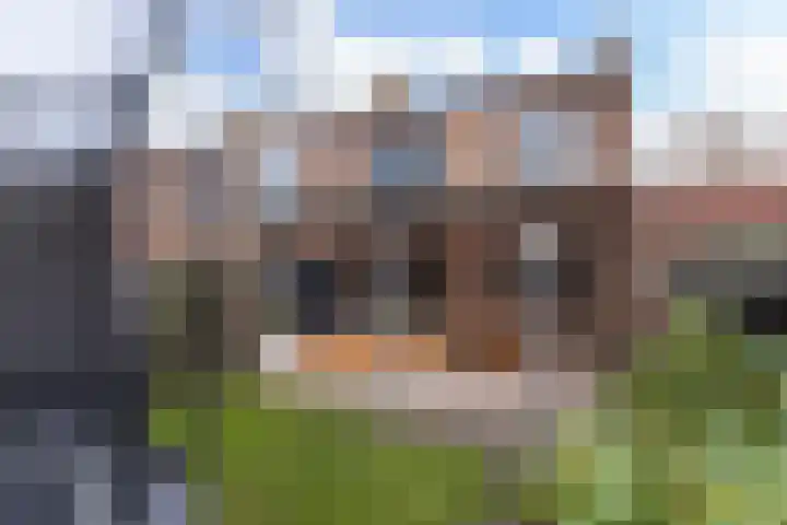 Kornet van Limburg Stirumstraat 43 Olst thumbnail 22