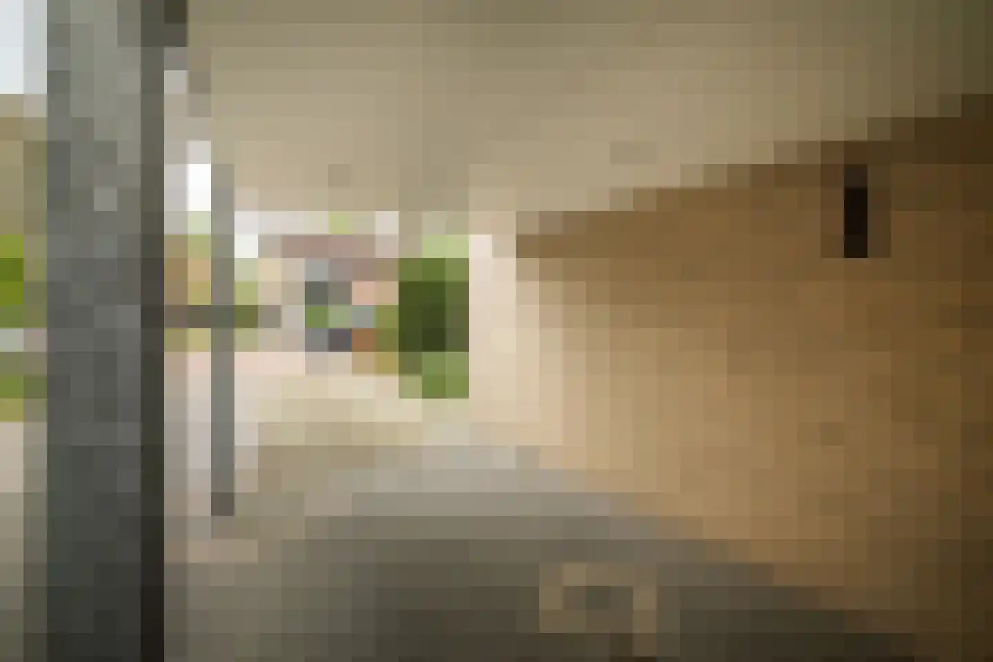 Kornet van Limburg Stirumstraat 66 Olst thumbnail 24