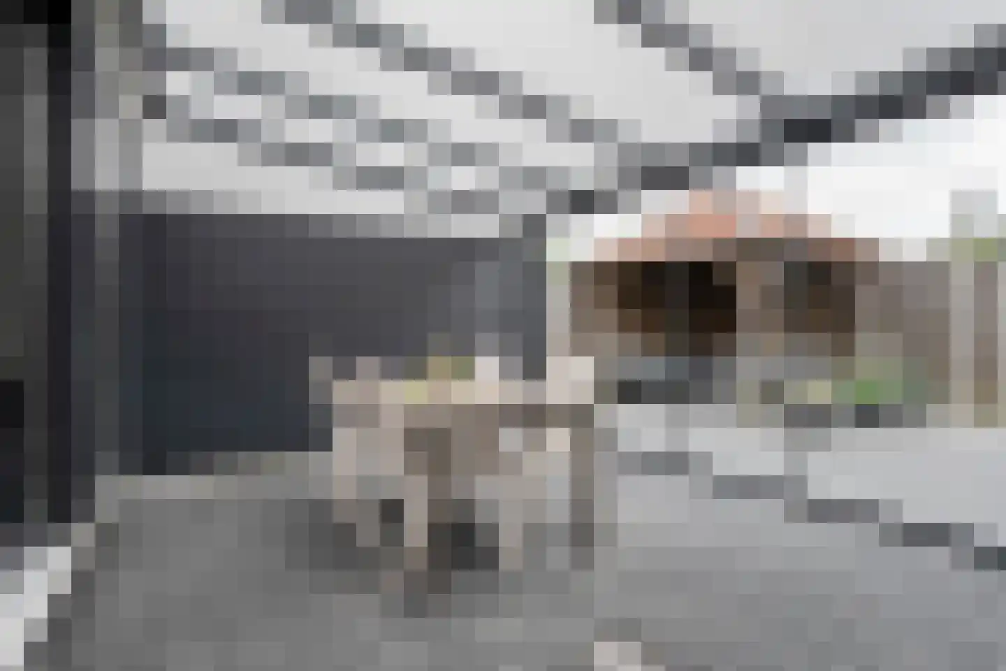 Kornet van Limburg Stirumstraat 87 Olst thumbnail 14
