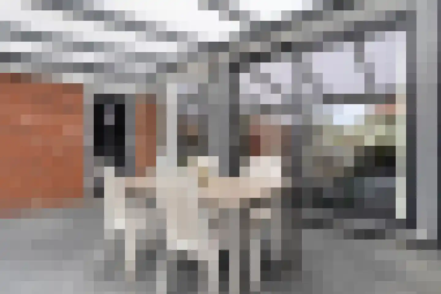 Kornet van Limburg Stirumstraat 87 Olst thumbnail 15