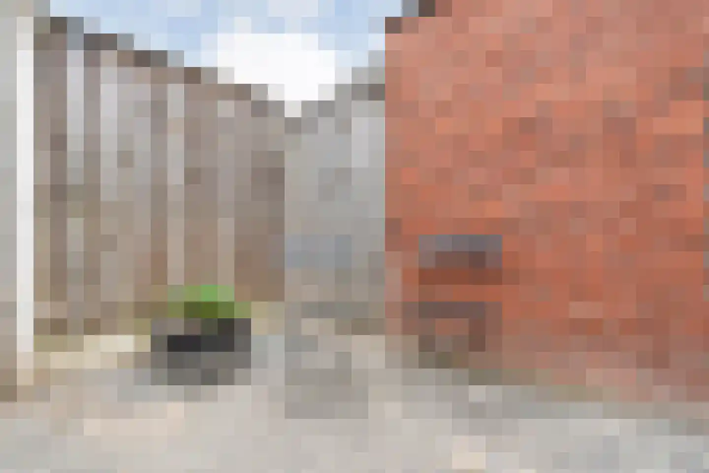 Kornet van Limburg Stirumstraat 87 Olst thumbnail 25