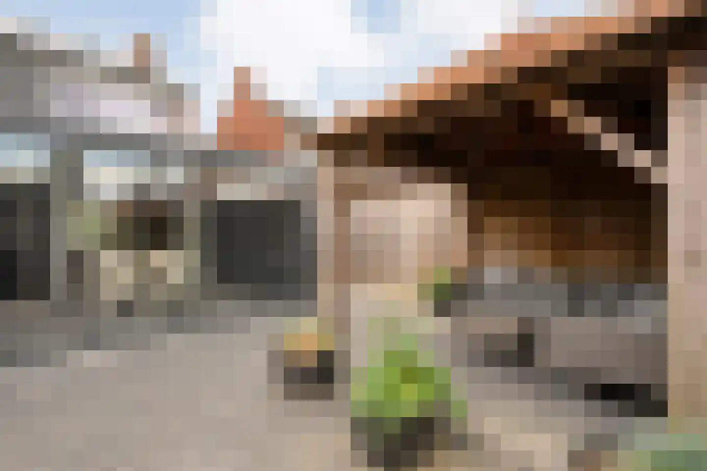 Kornet van Limburg Stirumstraat 87 Olst thumbnail 26