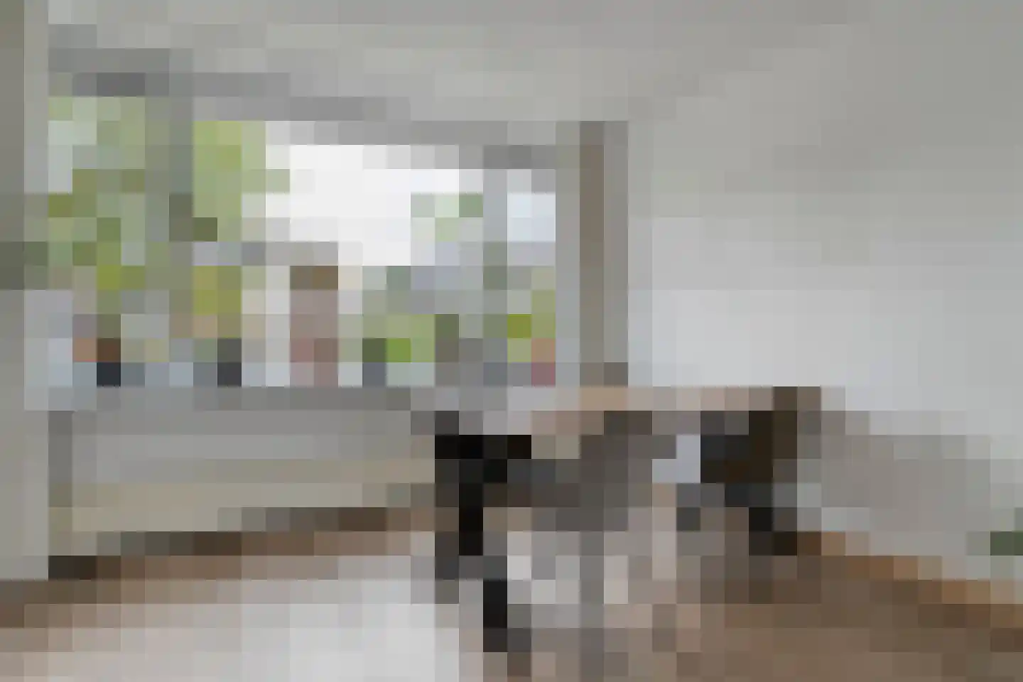 Kornet van Limburg Stirumstraat 87 Olst thumbnail 8
