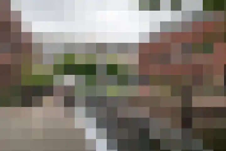 Kornetstraat 22 Haarlem thumbnail 32