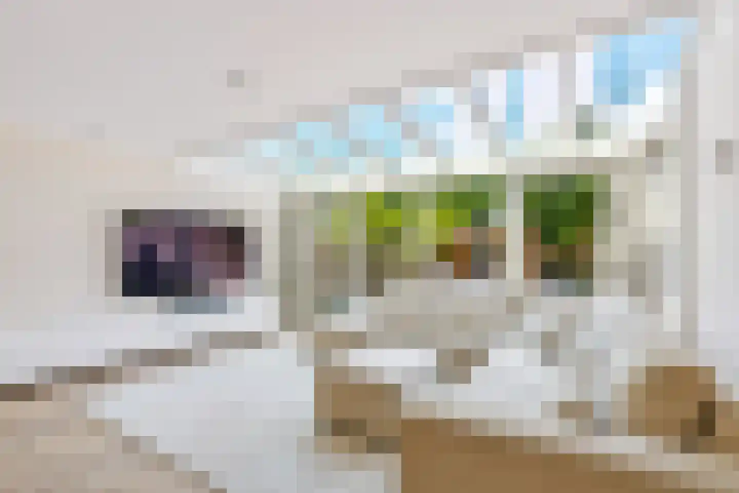 Kornetstraat 26 Almere thumbnail 7
