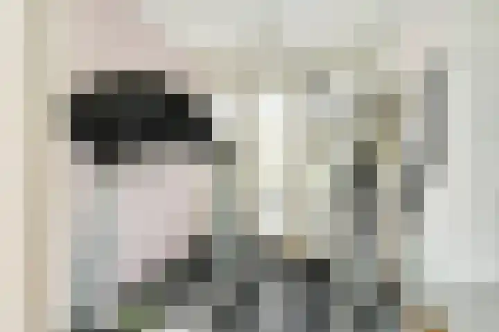 Kornetstraat 4 Almere thumbnail 33