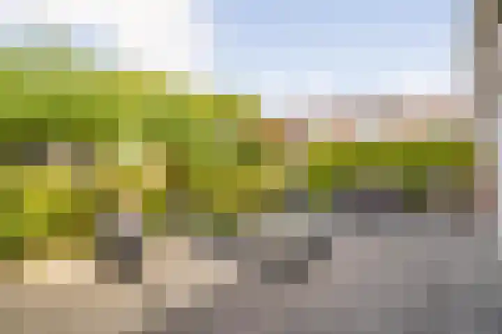 Kornetstraat 4 Almere thumbnail 41