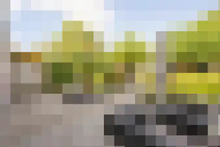 Kornetstraat 4 Almere thumbnail 42