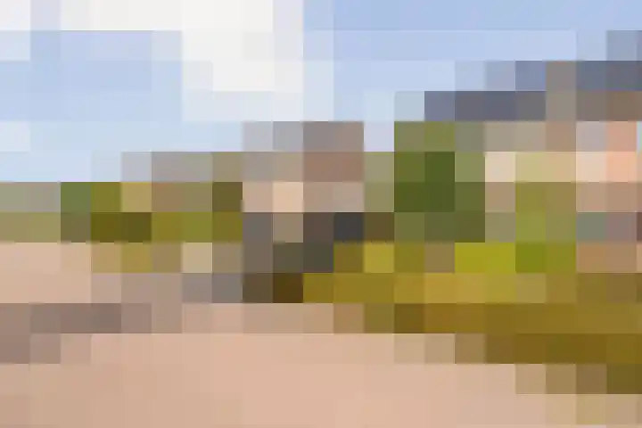 Kornetstraat 4 Almere thumbnail 69