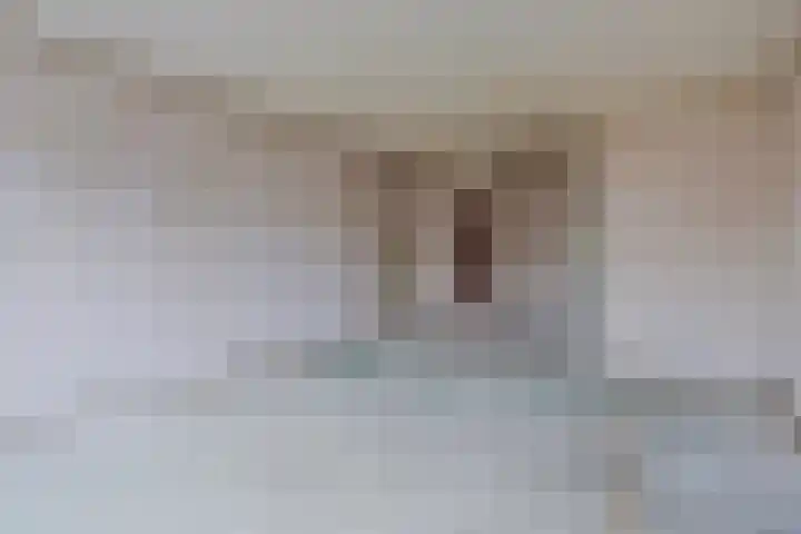 Kornetstraat 61 Uden thumbnail 10
