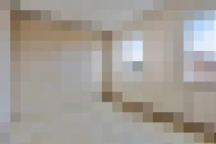 Kornetstraat 61 Uden thumbnail 16