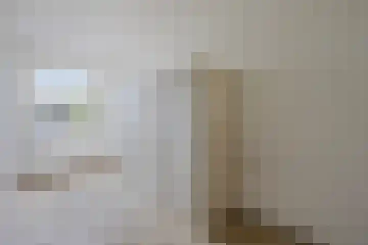 Kornetstraat 61 Uden thumbnail 18