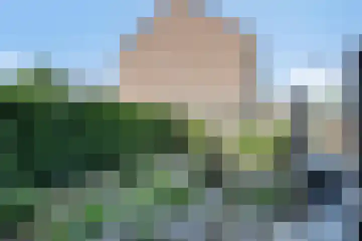 Kornetstraat 61 Uden thumbnail 22