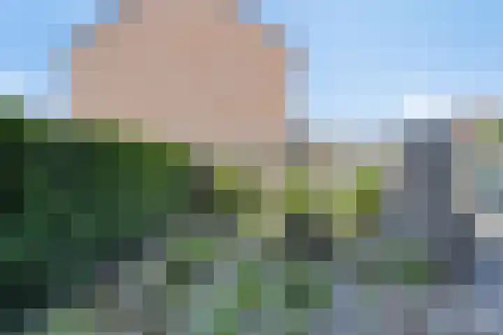 Kornetstraat 61 Uden thumbnail 23
