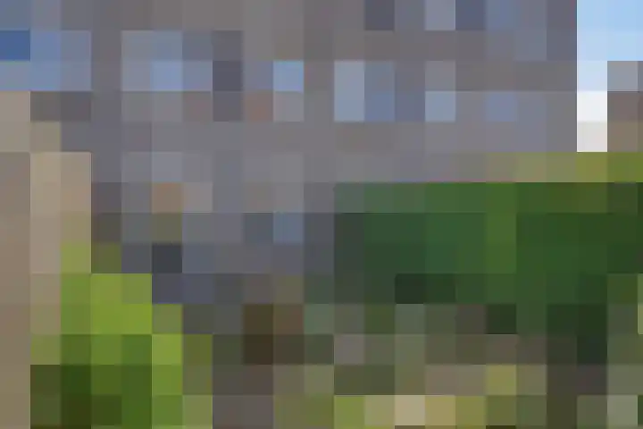 Kornetstraat 61 Uden thumbnail 24