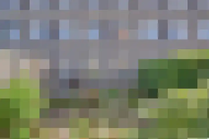 Kornetstraat 61 Uden thumbnail 25