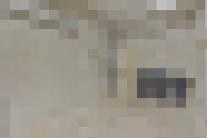 Kornetstraat 61 Uden thumbnail 4