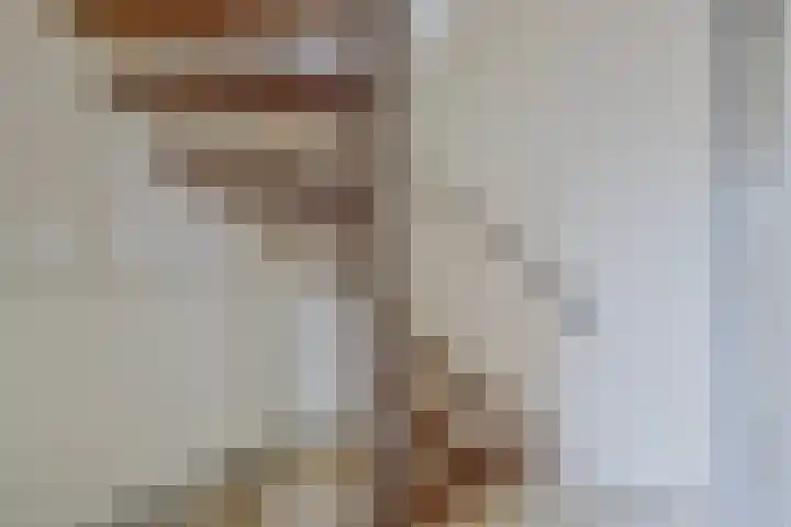 Kornetstraat 61 Uden thumbnail 7
