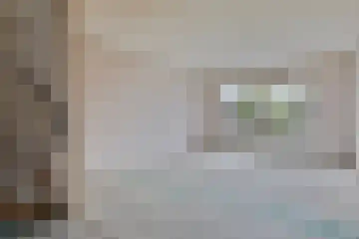 Kornetstraat 61 Uden thumbnail 8