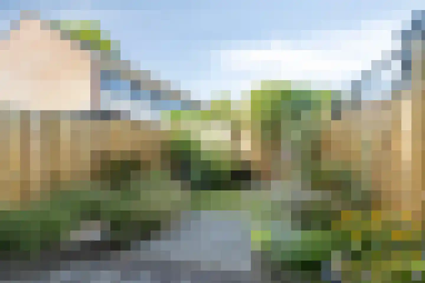 Kornetstraat 79 Uden thumbnail 27