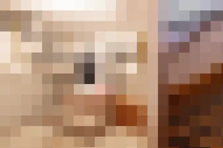 Kornewal 8 A Buren thumbnail 13
