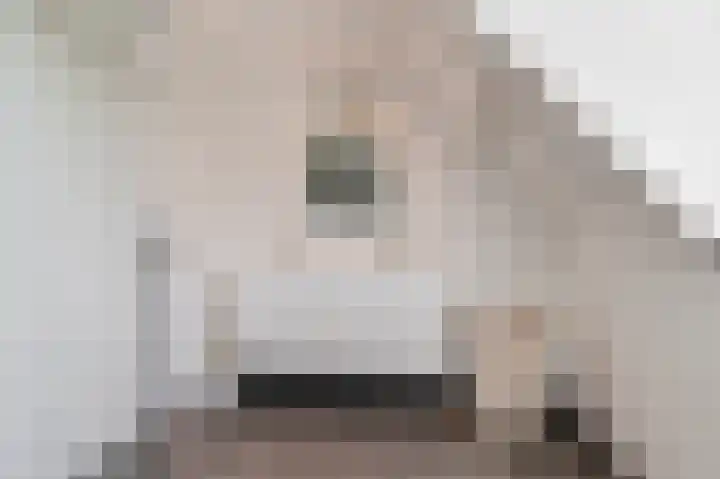 Kornewal 8 A Buren thumbnail 21