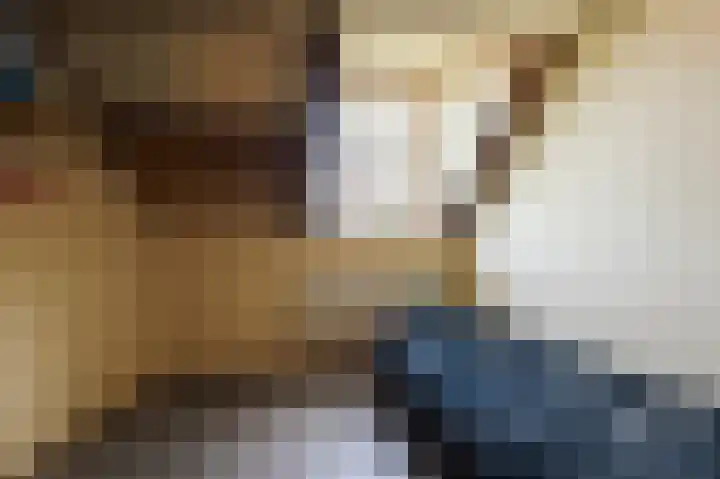 Kornewal 8 A Buren thumbnail 25
