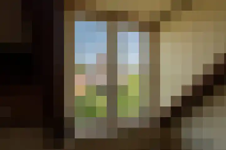 Kornewal 8 A Buren thumbnail 26